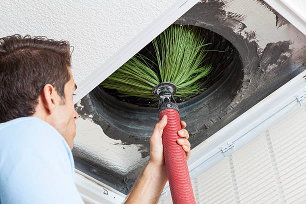 Best Professional Duct Cleaning Services  in Avis, PA